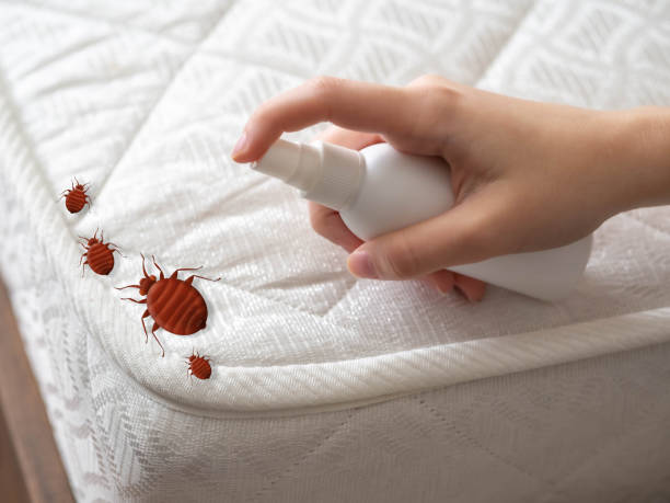 Best Pest Prevention Services  in Belvedere Park, GA